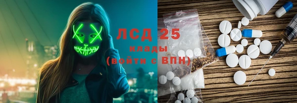 ПСИЛОЦИБИНОВЫЕ ГРИБЫ Александровское