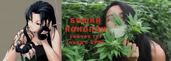 хмурый Кущёвская