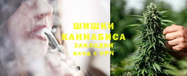 ПСИЛОЦИБИНОВЫЕ ГРИБЫ Александровское
