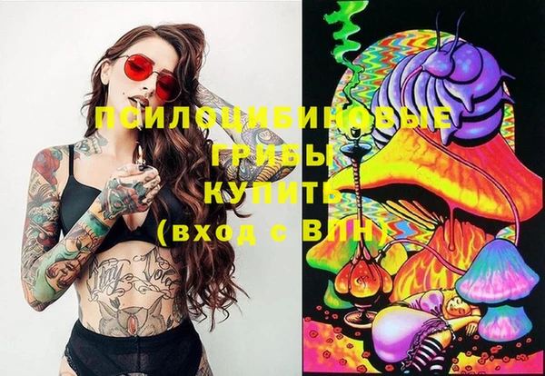 хмурый Кущёвская