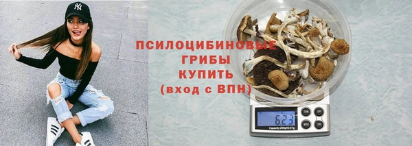 хмурый Кущёвская