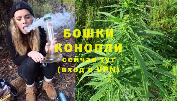 ПСИЛОЦИБИНОВЫЕ ГРИБЫ Александровское