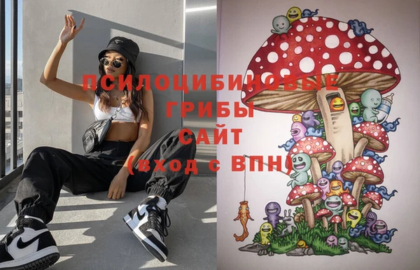 мяу мяу кристалл Богданович