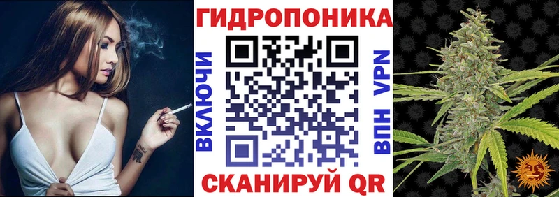 Конопля тримм  Купить закладки  Киреевск 